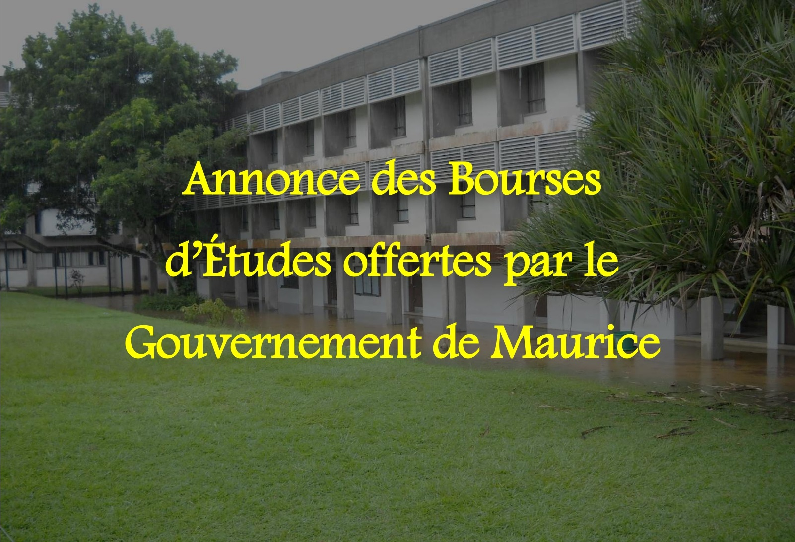 maurice